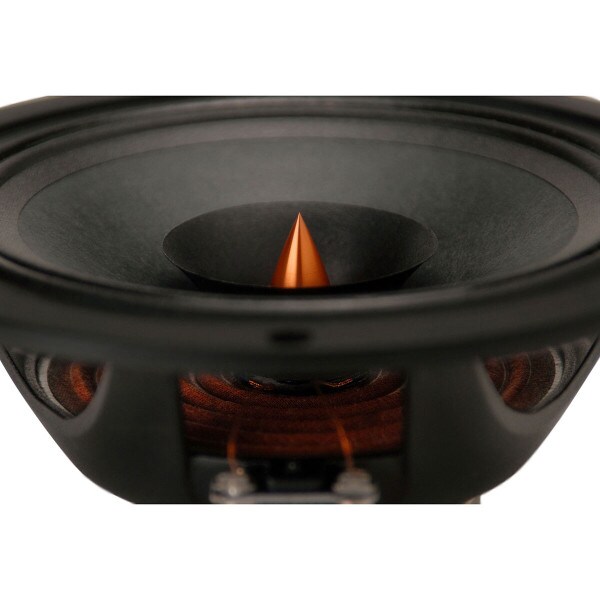 Main product image for Dayton Audio PS220-8 8" Point Source Full-Range Ne 295-346